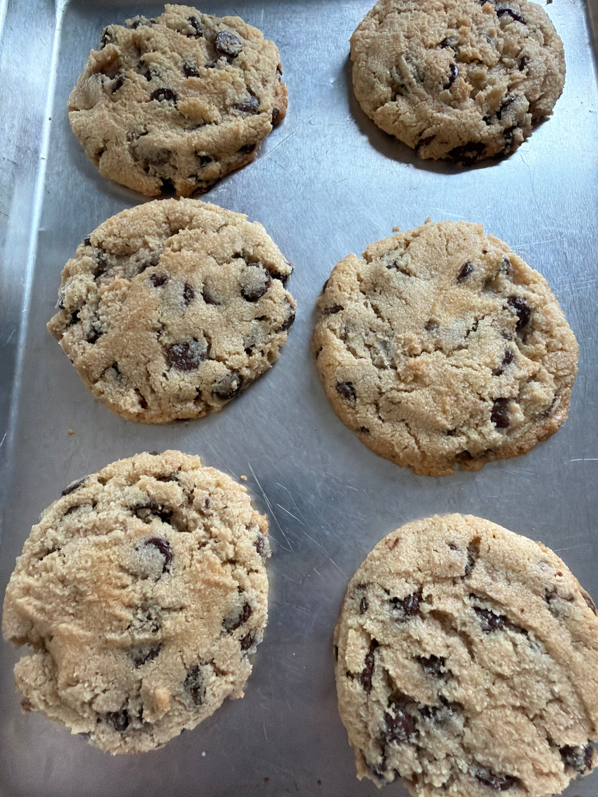 Gluten Free Chocolate Chip Cookie